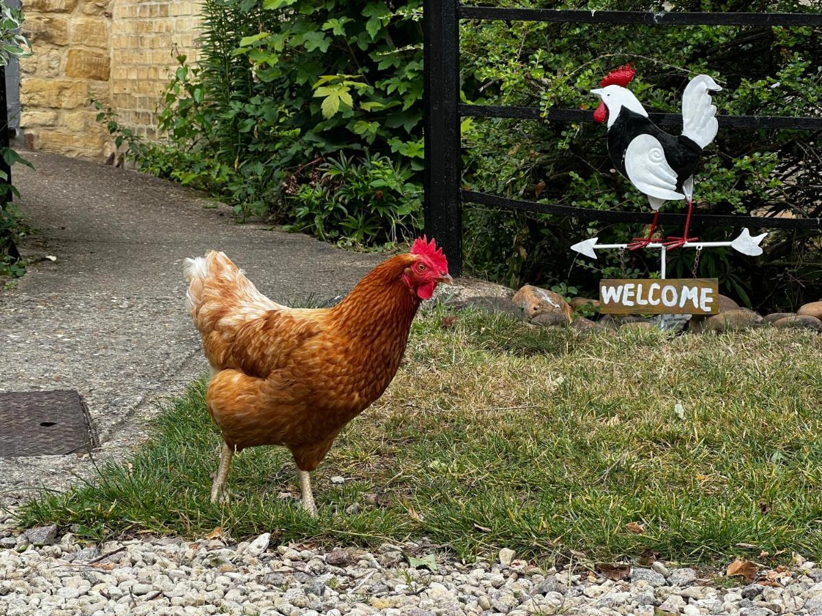 Home Farm Bed & Breakfast Milton Keynes Exterior photo